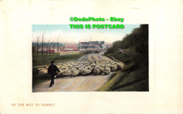 R346833 On The Way To Market. Wildt And Kray. No. 1281. 1908 - World