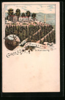 Lithographie Harzburg, Burgberg Mit Hotel Und Canossa-Säule  - Bad Harzburg