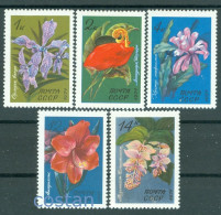 1971 Botanical Garden Flowers,Vanda Orchid,Amaryllis,flamingo Fl,Russia,3956,MNH - Ungebraucht
