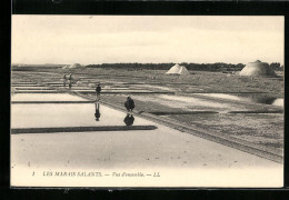 AK Les Marais Salantis, Vue D`ensemble, Meersalzgewinnung  - Mines