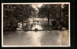 Foto-AK Greiz, Goethepark Beim Hochwasser 1956  - Inondazioni