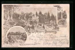 Lithographie Dresden-Pillnitz, Gasthof Borsberg, Gradmessungs-Säule  - Pillnitz