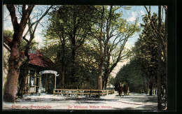 AK Brockeswalde, Gasthaus Zur Waldeslust Von Wilhelm Warneke  - Sonstige & Ohne Zuordnung