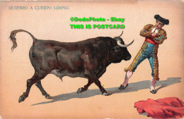 R347017 Quiebro A Cuerpo Limpio. Postcard - World