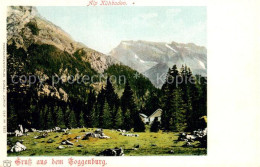 13731169 Toggenburg SG Alp Kuehboden  - Other & Unclassified
