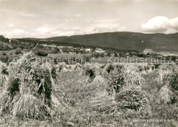 13730139 Bretonnieres VD Et Le Jura  - Altri & Non Classificati