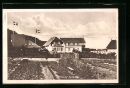 AK Gilleleje, Havly  - Danimarca