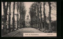 AK Augustenburg, Schloss-Allee Mit Torbogen  - Danimarca