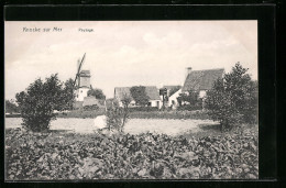 AK Knocke-sur-Mer, Paysage, Windmühle  - Andere & Zonder Classificatie