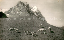 13726867 Grindelwald Pfingstegg Mit Eiger Grindelwald - Sonstige & Ohne Zuordnung