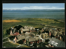 AK Hallig Oland, Blick Auf Häuser Und Die Nordsee  - Altri & Non Classificati