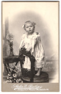 Fotografie E. Postlep, Berlin, Portrait Niedliches Kleines Mädchen Im Weissen Kleidchen Mit Haarschleifen  - Anonymous Persons