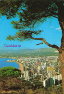 CPSM Benidorm-Timbre       L2913 - Autres & Non Classés