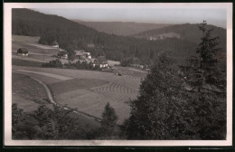 Fotografie Brück & Sohn Meissen, Ansicht Schellerhau I. Erzg., Teilansicht Des Ortes Vom Wald Aus Gesehen  - Places