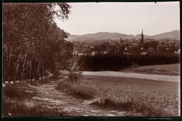 Fotografie Brück & Sohn Meissen, Ansicht Löbau I. Sa., Feldweg Mit Blick Auf Die Stadt, Birkenwald  - Lieux