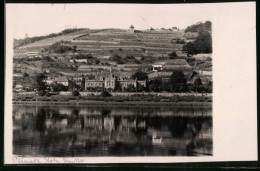 Fotografie Brück & Sohn Meissen, Ansicht Meissen I. Sa., Blick Nach Dem Weingut Rote Presse  - Lieux