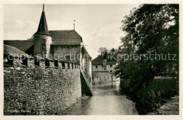 13707047 Hallwil Schloss Stadtmauer Hallwil - Andere & Zonder Classificatie