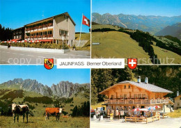 13688577 Jaunpass Berner Oberland Hotel Des Alpes Jaunpass - Altri & Non Classificati