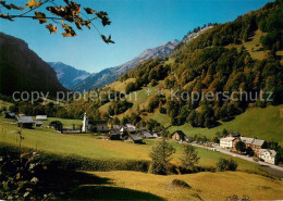 13627807 Weisstannen Panorama Blick Zum Foostock Glarner Alpen Weisstannen - Other & Unclassified
