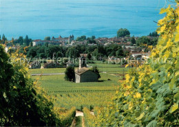 13627379 Rolle Vaud La Ville Depuis Les Vignobles Rolle Vaud - Altri & Non Classificati