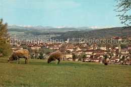 13626247 Winterthur ZH T??tal Churfirsten Speer Winterthur ZH - Sonstige & Ohne Zuordnung