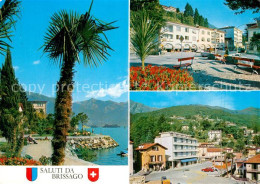 13589999 Brissago Lago Maggiore Uferstrasse Palmen Ortsmotive Brissago Lago Magg - Autres & Non Classés