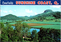 14-5-2024 (5 Z 1) Australia  (not Posted) QLD - Sugar Cane Fields In Sunshine Coast - Cultures