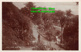 R354007 Rock Walk And Vane Hill Torquay. 5153. RP. Post Card - World