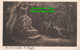 R354135 Stone Seat Landslip Nr. Shanklin. Post Card - World