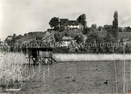 13525907 Waedenswil Landgasthof Am Zuerichsee Halbinsel Au Waedenswil - Sonstige & Ohne Zuordnung