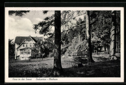 AK Bockswiese /Oberharz, Haus In Der Sonne  - Oberharz
