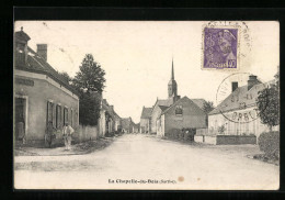 CPA La Chapelle-du-Bois, Rue Principale  - Autres & Non Classés