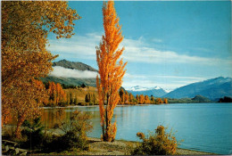 14-5-2024 (5 Z 10) New Zealand  (posted To Australia 1980 ? With Shell Stamp) Lake Wanaka - Nouvelle-Zélande