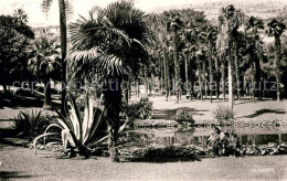 72809360 Monte-Carlo Les Jardins Du Casino Vision D Afrique Monte-Carlo - Autres & Non Classés