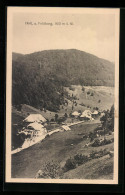 AK Fahl A. Feldberg, Gesamtansicht Aus Der Vogelschau  - Feldberg