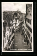 AK Tübingen, Burgsteige Mit Blick Auf Österburg  - Tuebingen