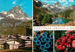 72807682 Breuil Cervinia Panorama Lago Bleu Alpen Blauer Enzian Alpenflora Breui - Autres & Non Classés