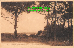 R354579 L Aber Wrach Finistere. 25. Les Pins De Keraval. Gaby. G. Artaud Editeur - World