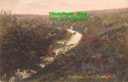 R354644 Hindhead Devils Punch Bowl. F. Frith And Co. No. 61428 - World