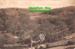 R354647 Hindhead Whitmore Vale. F. Frith And Co. No. 64202. 1914 - Monde