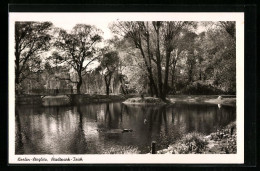 AK Berlin-Steglitz, Teich Im Stadtpark  - Steglitz