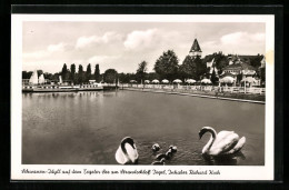 AK Berlin-Tegel, Gasthaus Strandschloss Tegel Am Tegeler See Mit Schwänen  - Tegel