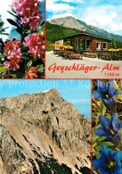 72802817 Prein Rax Geyschlaeger Alm Preiner Wand Raxalpe Alpenflore Blauer Enzia - Other & Unclassified