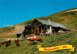 72802793 Piesendorf Hochsonnberg Alm Am Pinzgauer Spaziergang Kuehe Piesendorf - Sonstige & Ohne Zuordnung