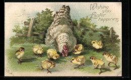 AK Osterküken Mit Huhn Im Grünen, Wishing You Easter Happiness  - Pâques