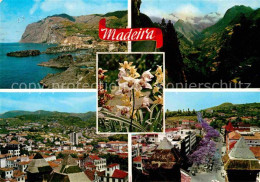 72801978 Funchal Flores E Paisagens Panorama Kueste Gebirge Blumen Funchal - Otros & Sin Clasificación