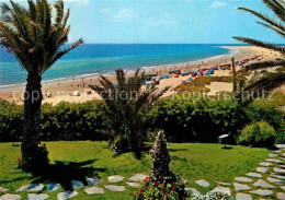 72801949 Playa Del Ingles Panorama Strand Palmen Playa Del Ingles - Autres & Non Classés