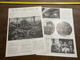 1908 PATI Floralies De Gand Mgr Stillemans - Collections