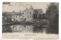 Mettet (Belgique, Namur) : Le Chateau De Thozée En 1906 PF - Mettet