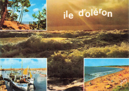 17 ILE D OLERON  - Ile D'Oléron